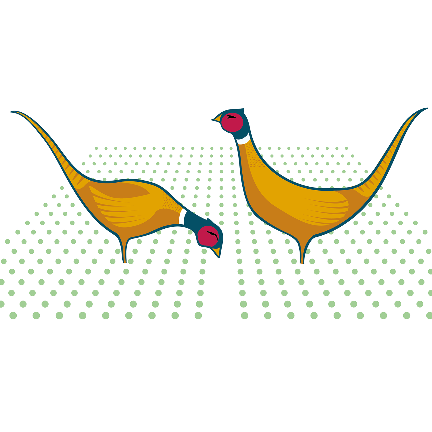 Pheasants_square