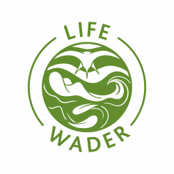 Life Wader logo