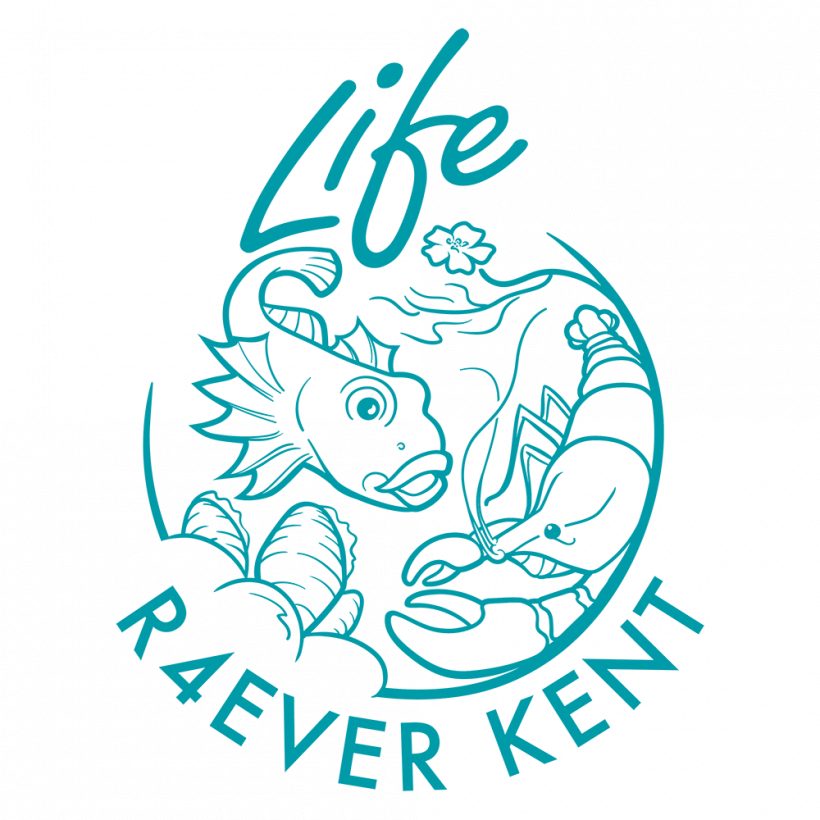 LIFE R4 Ever Kent