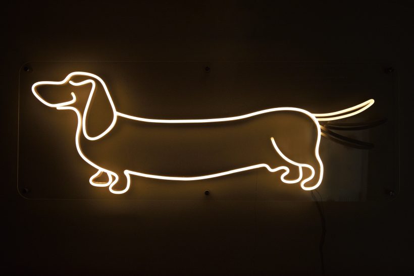 animated neon sausage light