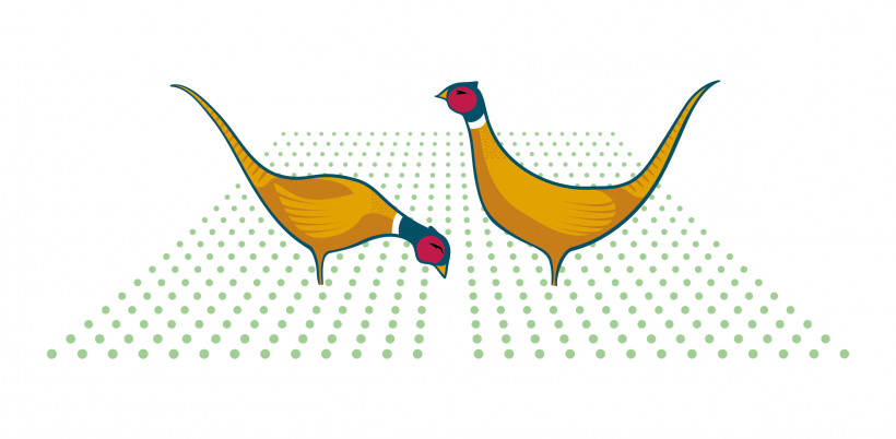 pea cocks pheasants