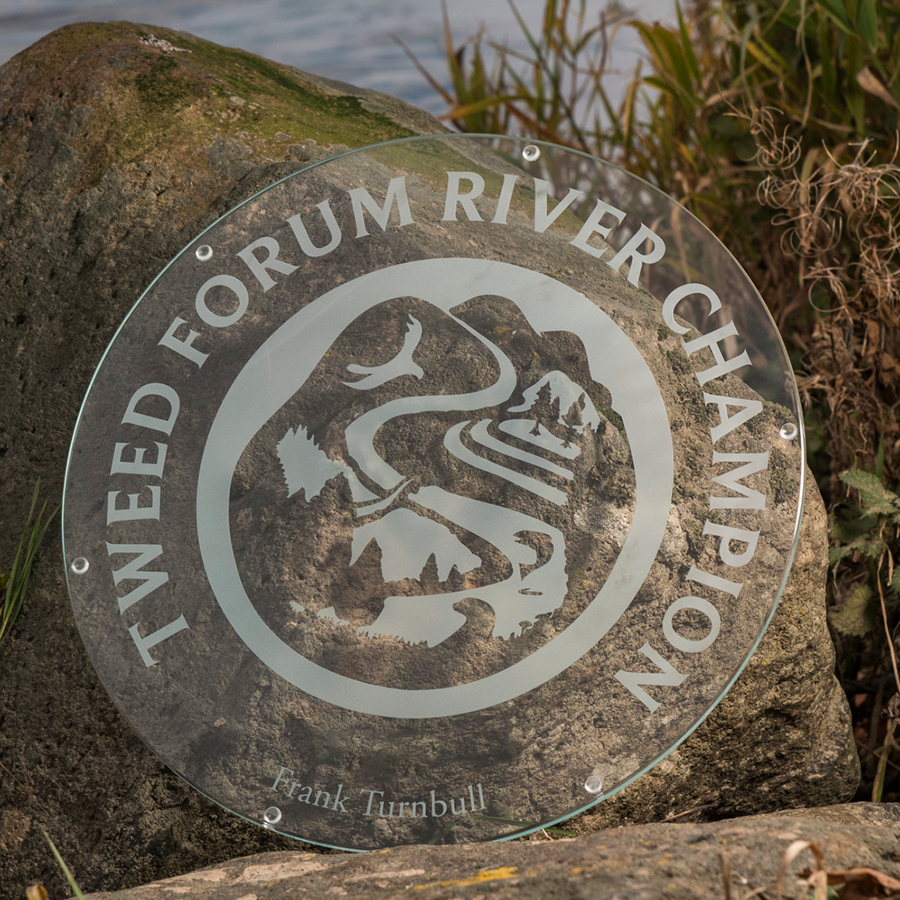 River Champion - plate design
